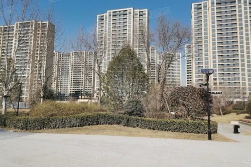 中新國(guó)際城綜合評(píng)測(cè) 優(yōu)點(diǎn)、不足、周邊中介及物業(yè)管理分析